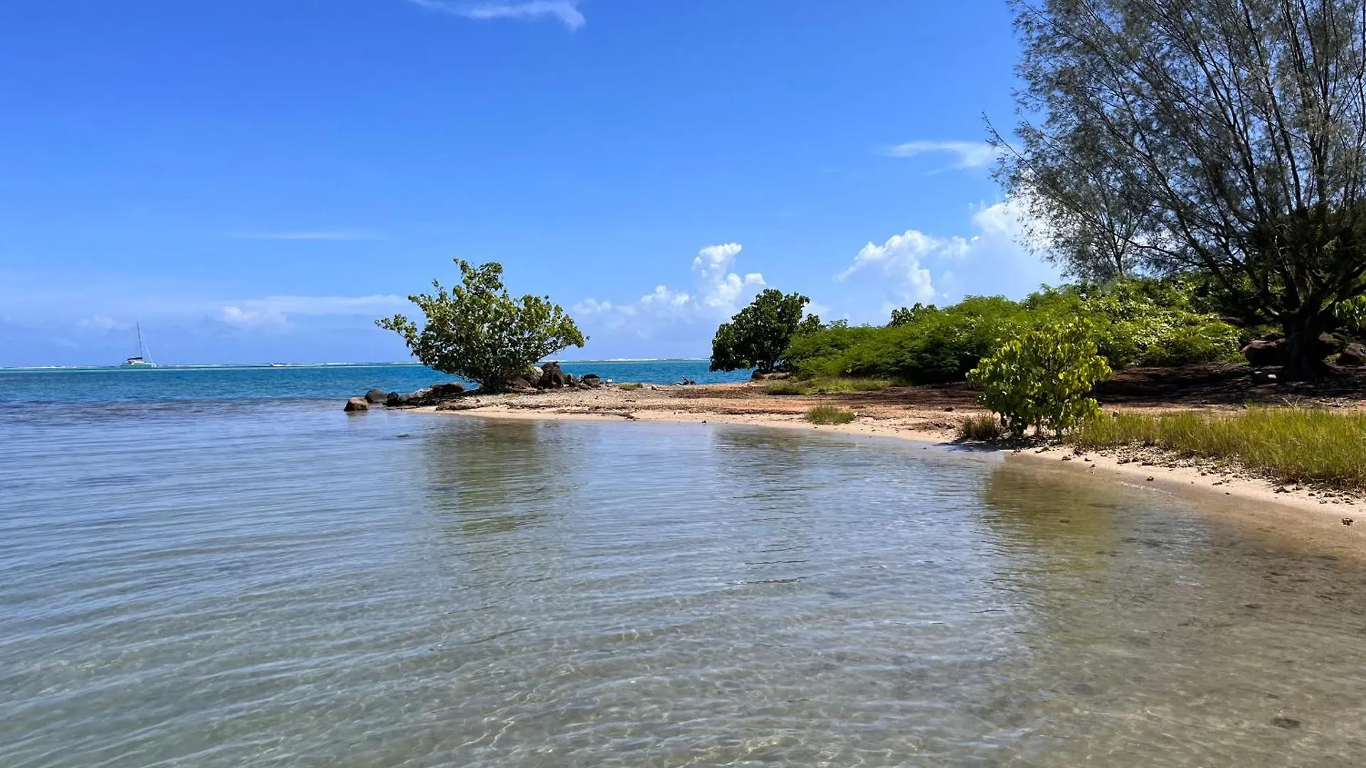 Villa Ho'A - Bord De Mer Avec Piscine Papetoai